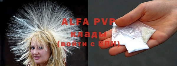 индика Волосово