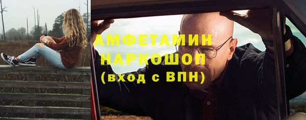 индика Волосово