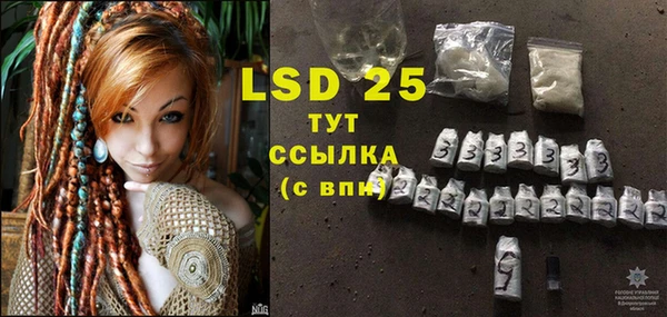 индика Волосово