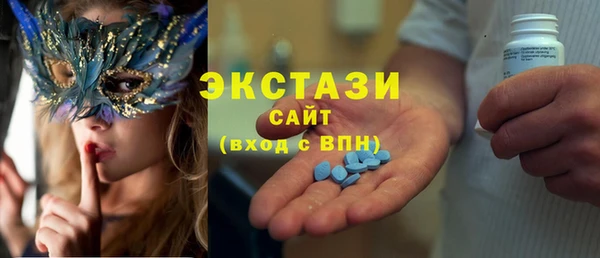 индика Волосово