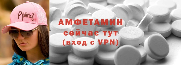 индика Волосово