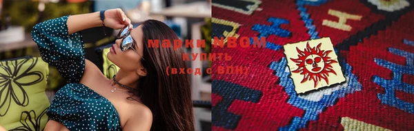 индика Волосово